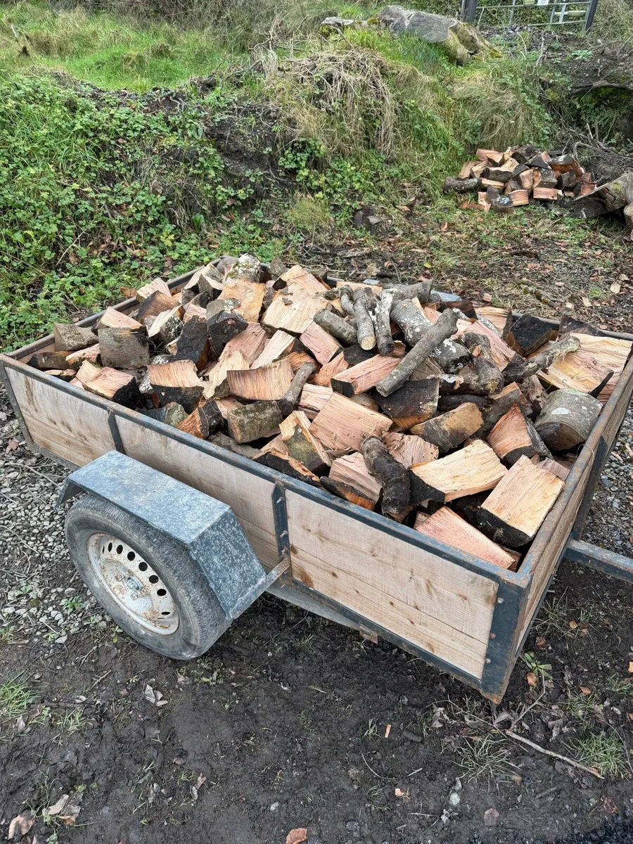 Firewood - Image 2