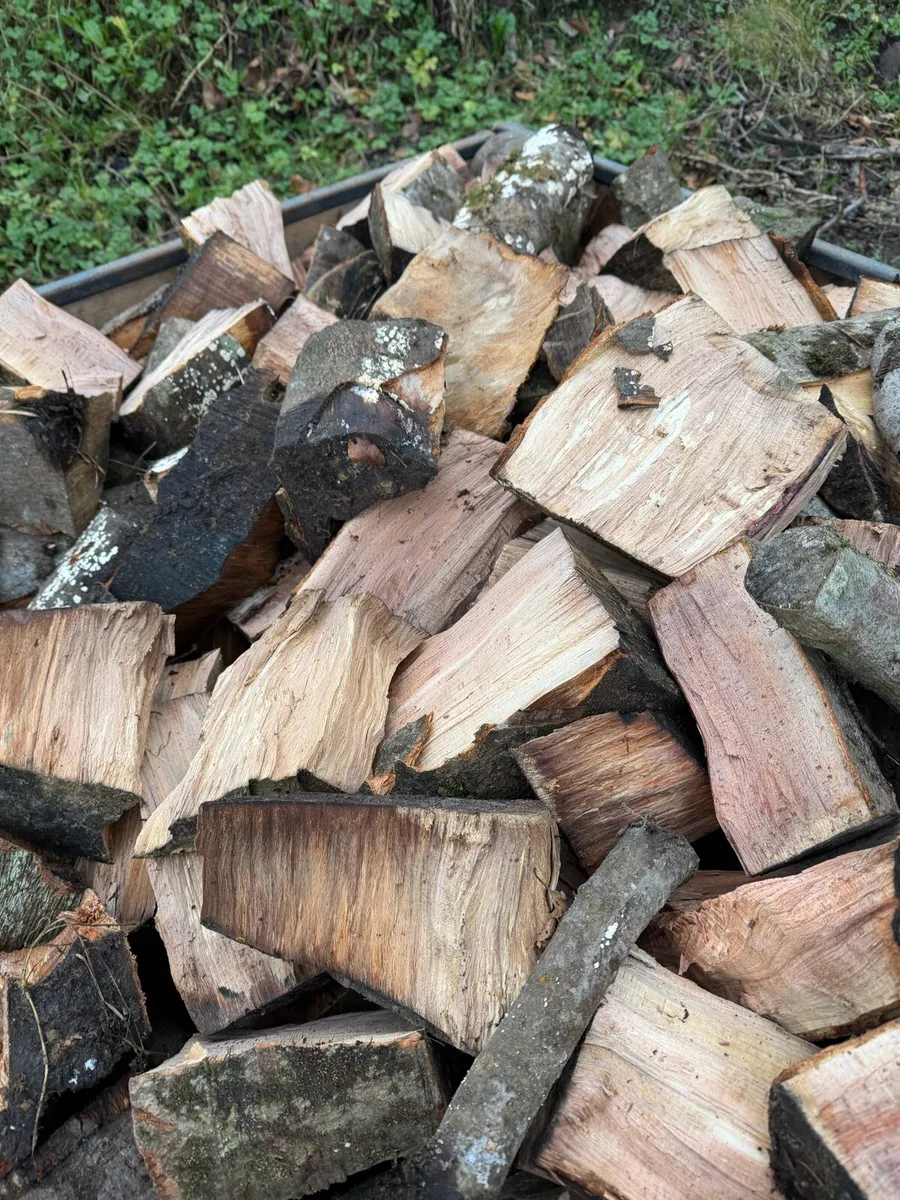 Firewood - Image 3