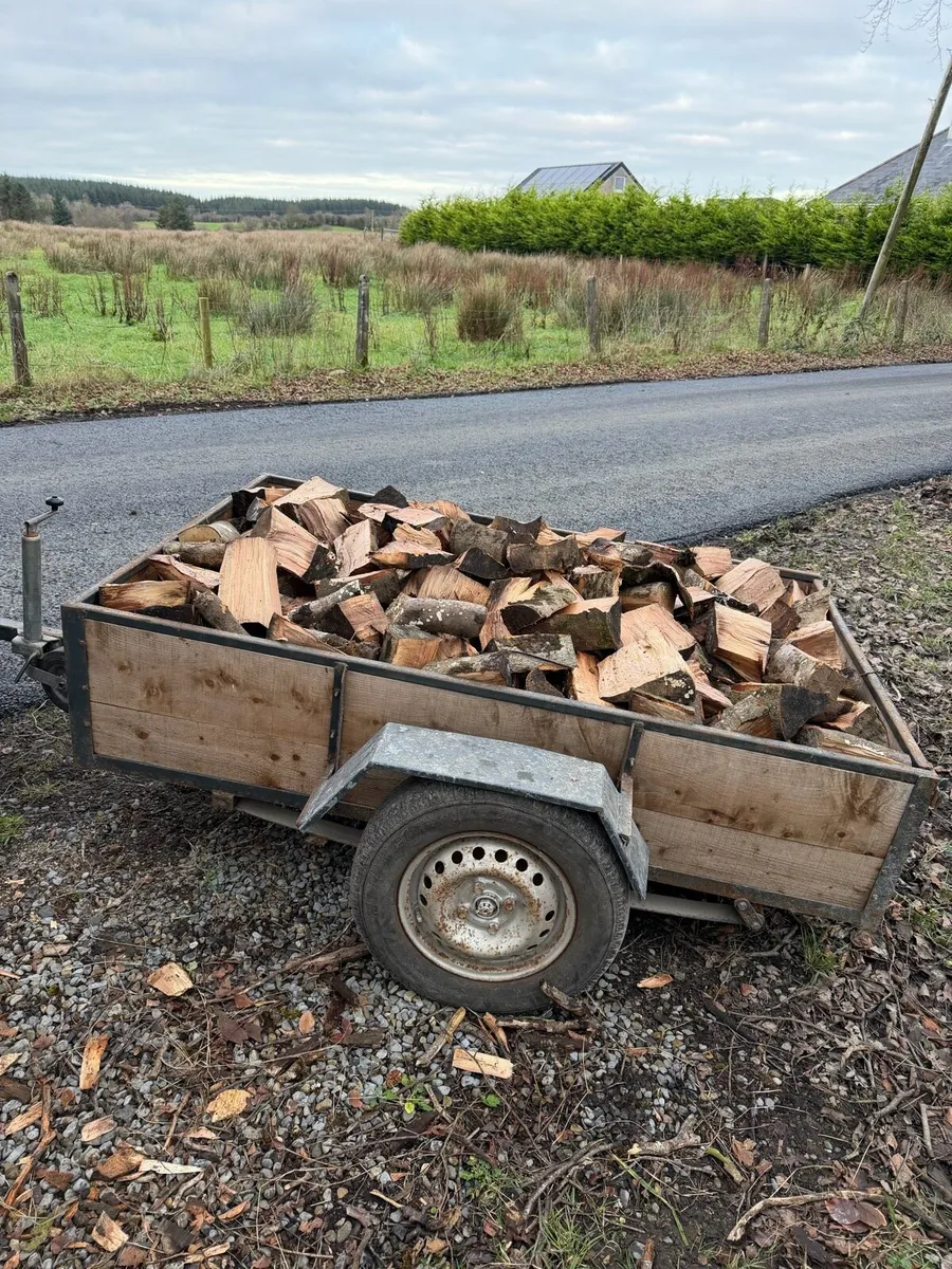 Firewood - Image 4