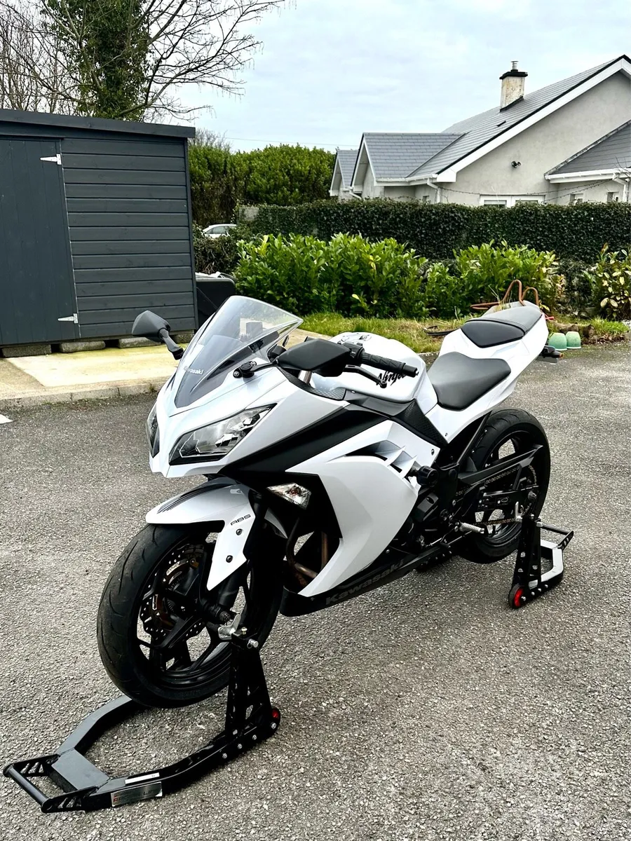 Ninja 300 - Image 1
