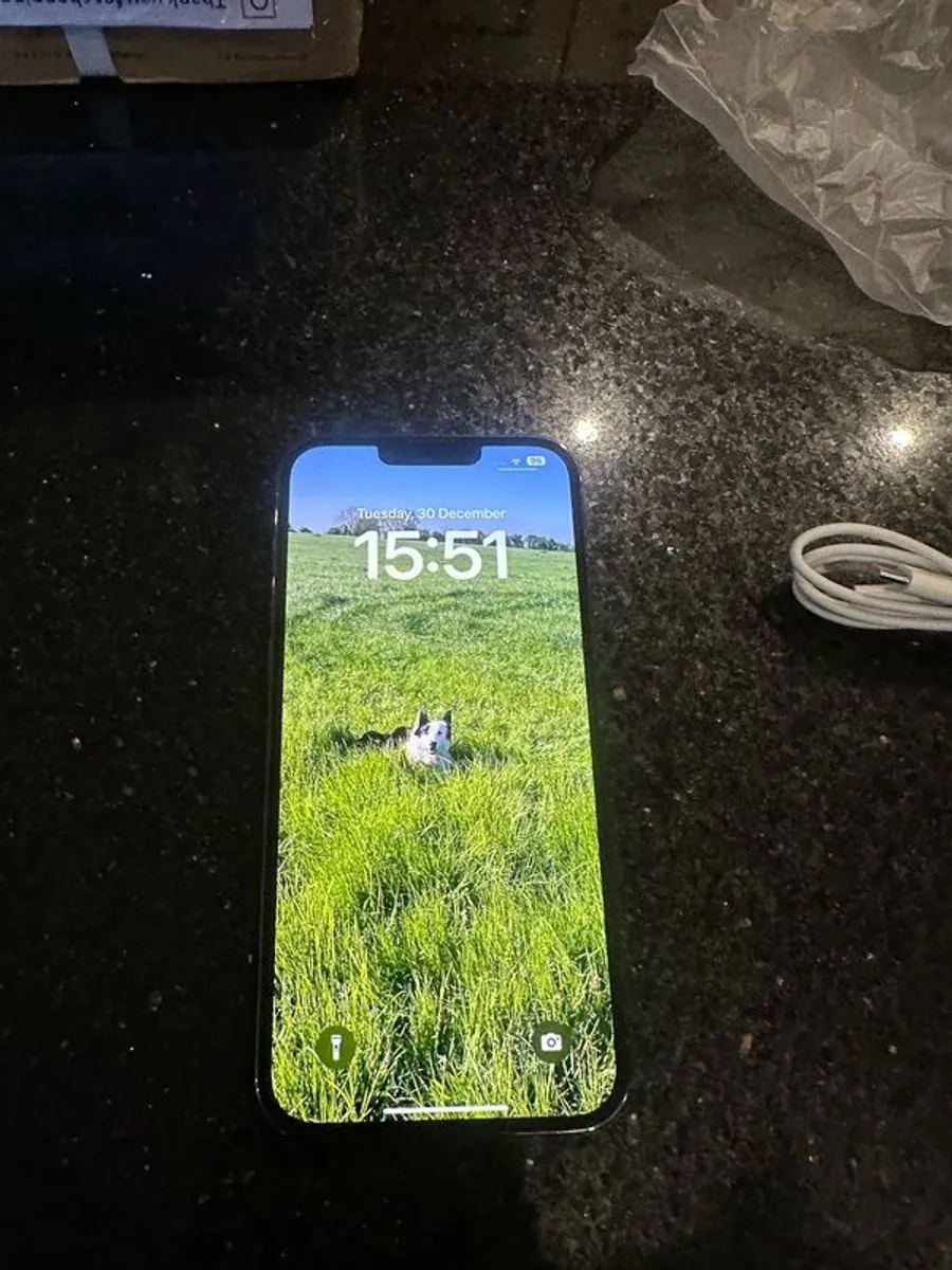 iPhone 13 Pro Max - Image 1