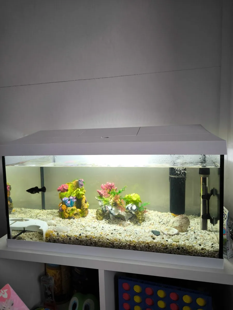 Tank, aquarium 54L - Image 2