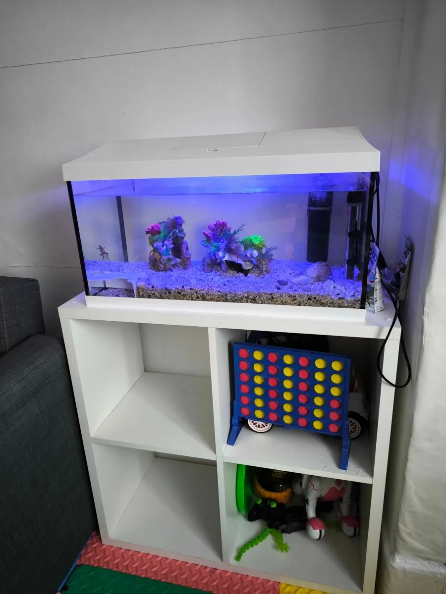 Tank, aquarium 54L - Image 1