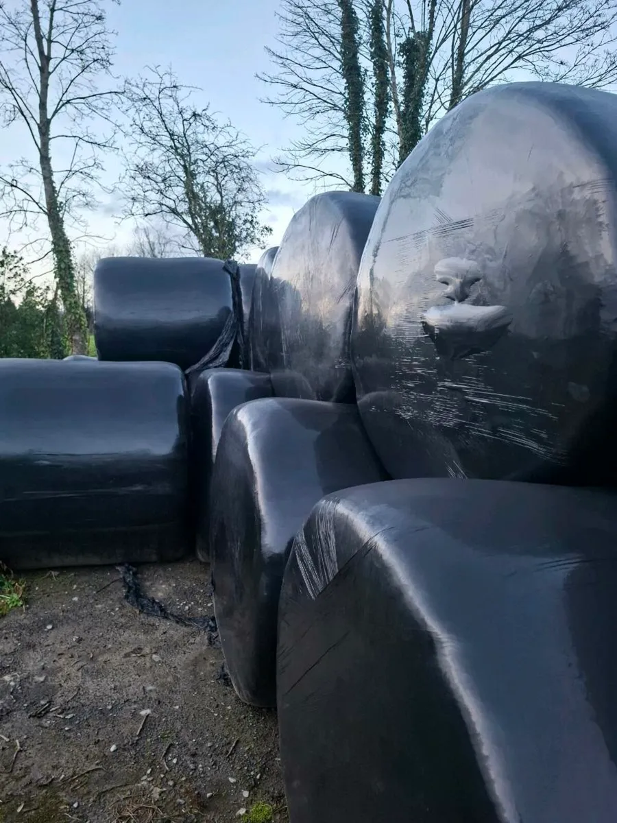 21 Silage Bales - 1st Cut - Image 1