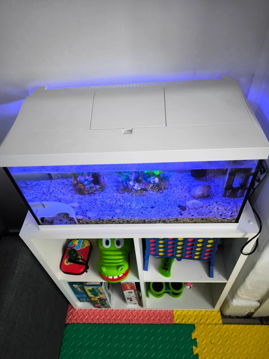 Tank, aquarium 54L - Image 4