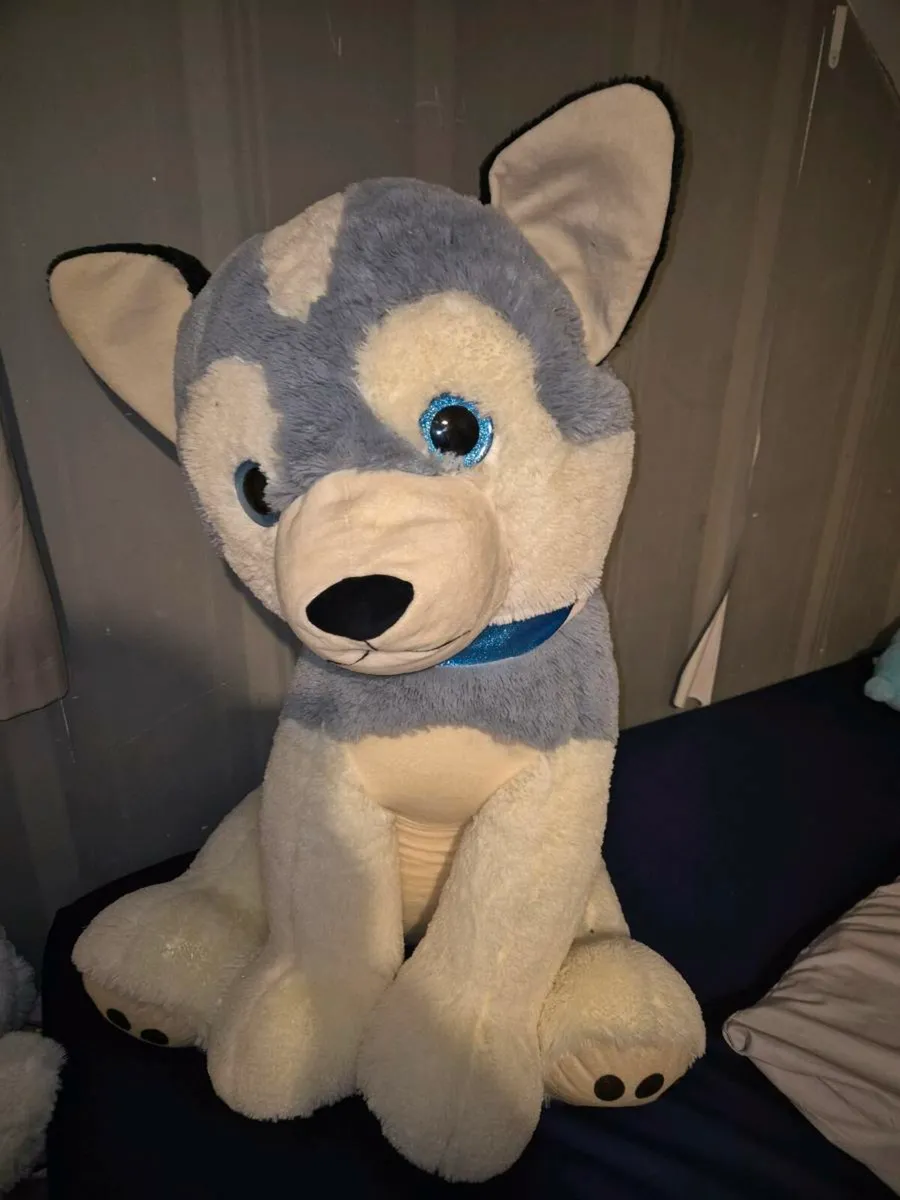 Free household items - Image 2