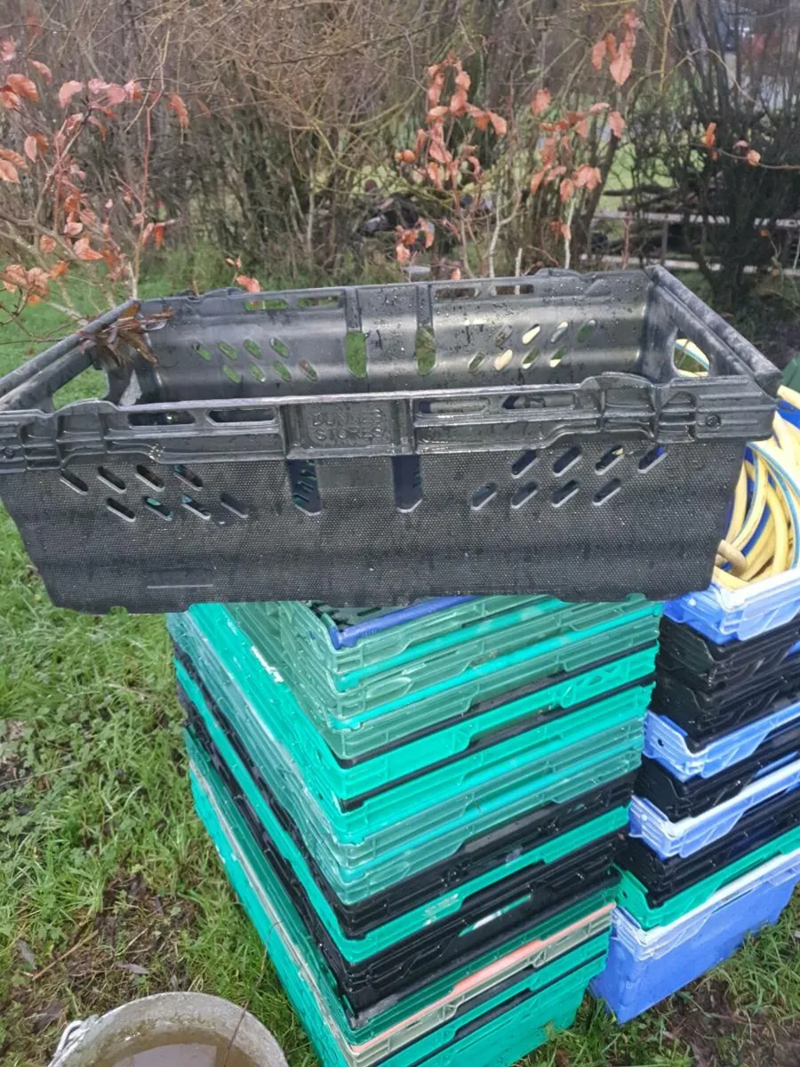Plastic crates - Image 1