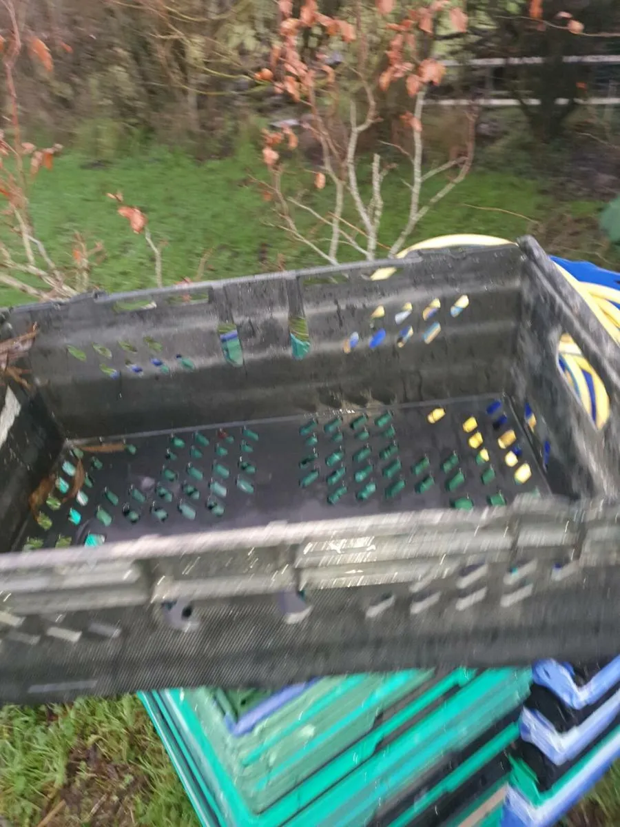 Plastic crates - Image 2