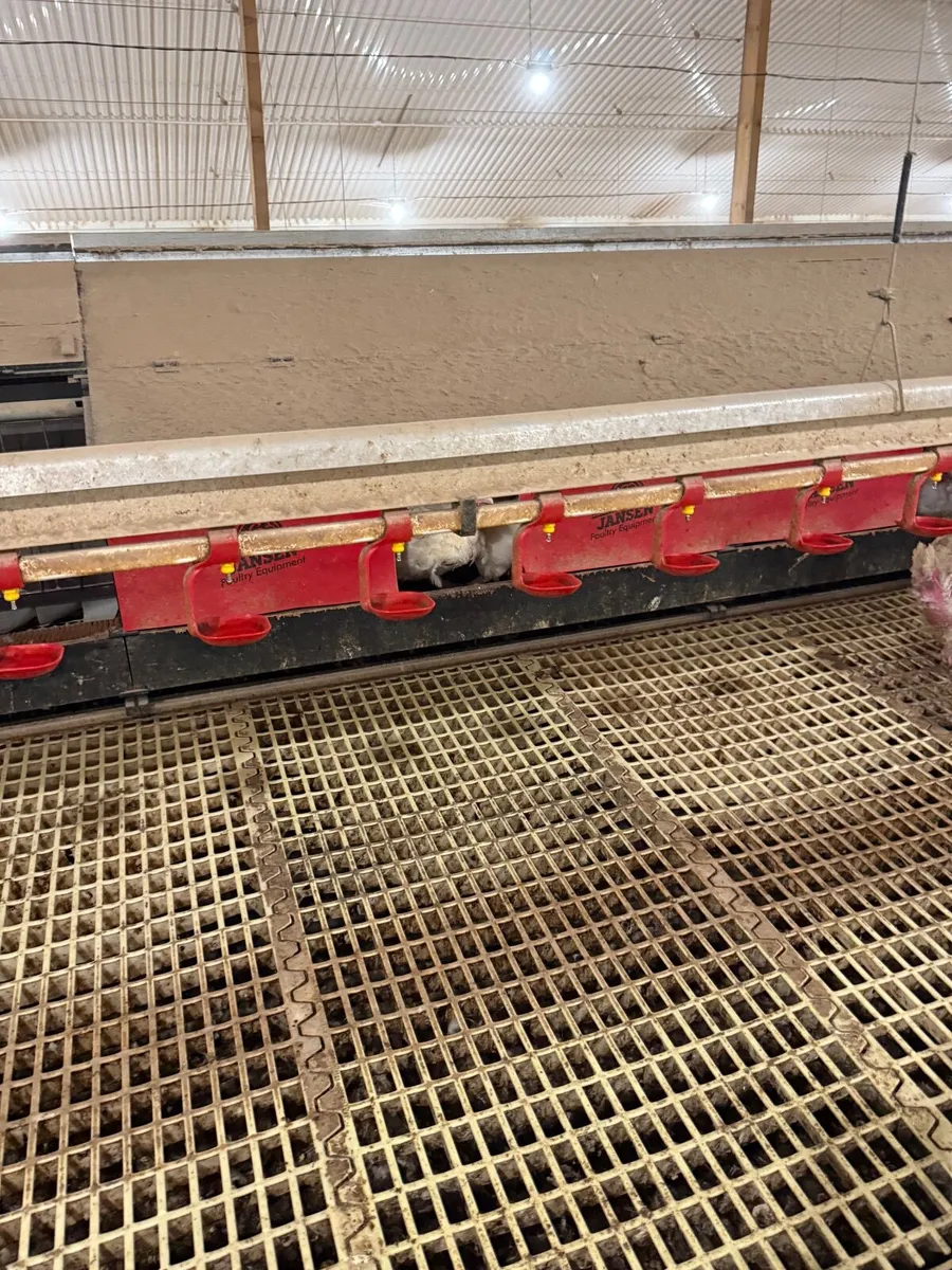 2 Nest boxes & slats - Image 4