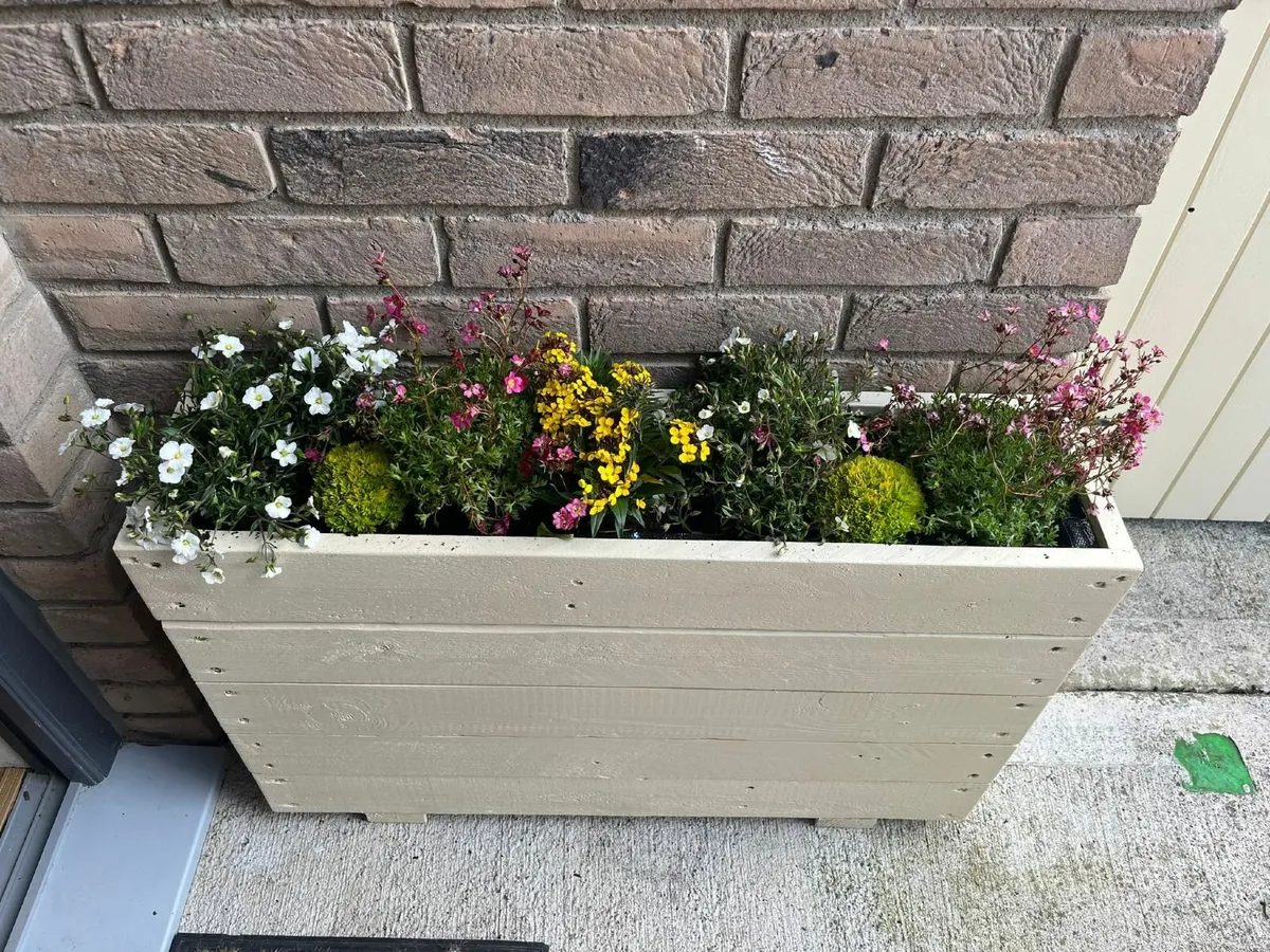 Garden Wooden Planters - Image 3