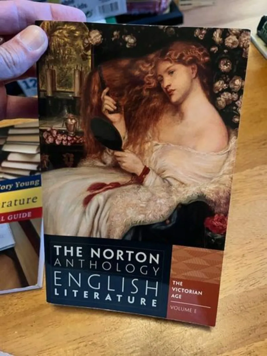 English Literature Books. Norton. Softcovers - Image 3