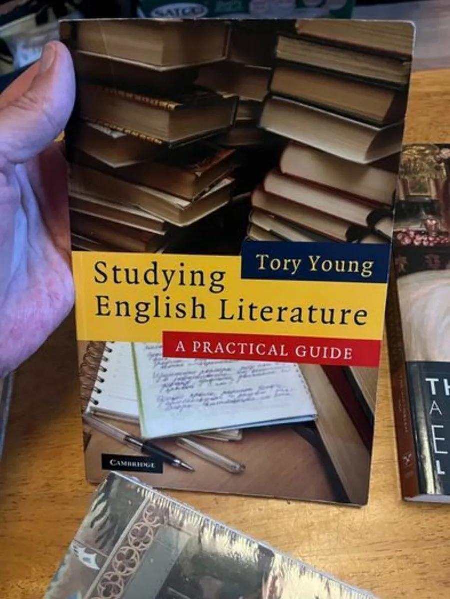 English Literature Books. Norton. Softcovers - Image 4