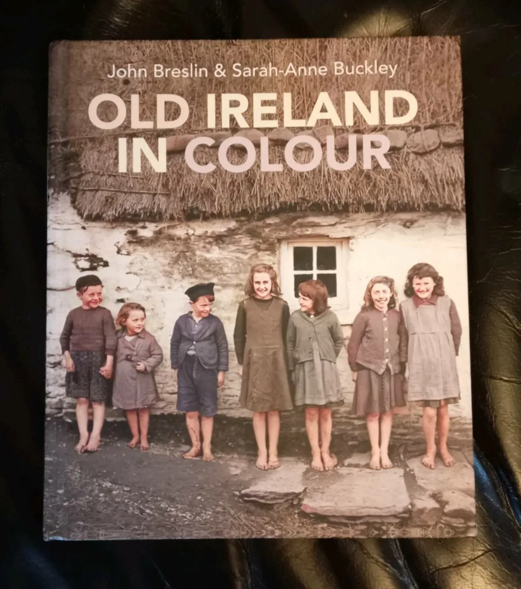 Old Ireland in Colour Book - Image 1