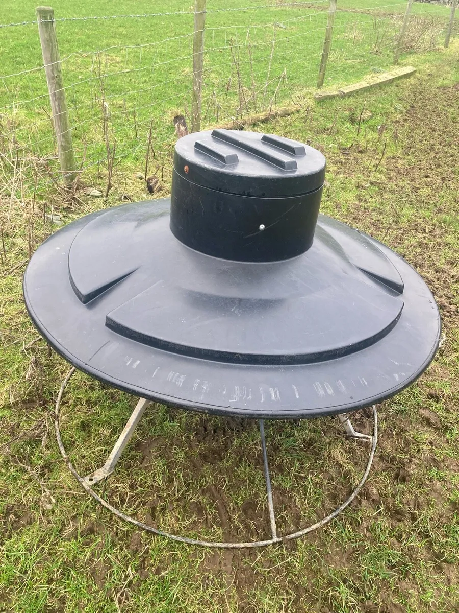 Lamb Creep feeders - Image 4