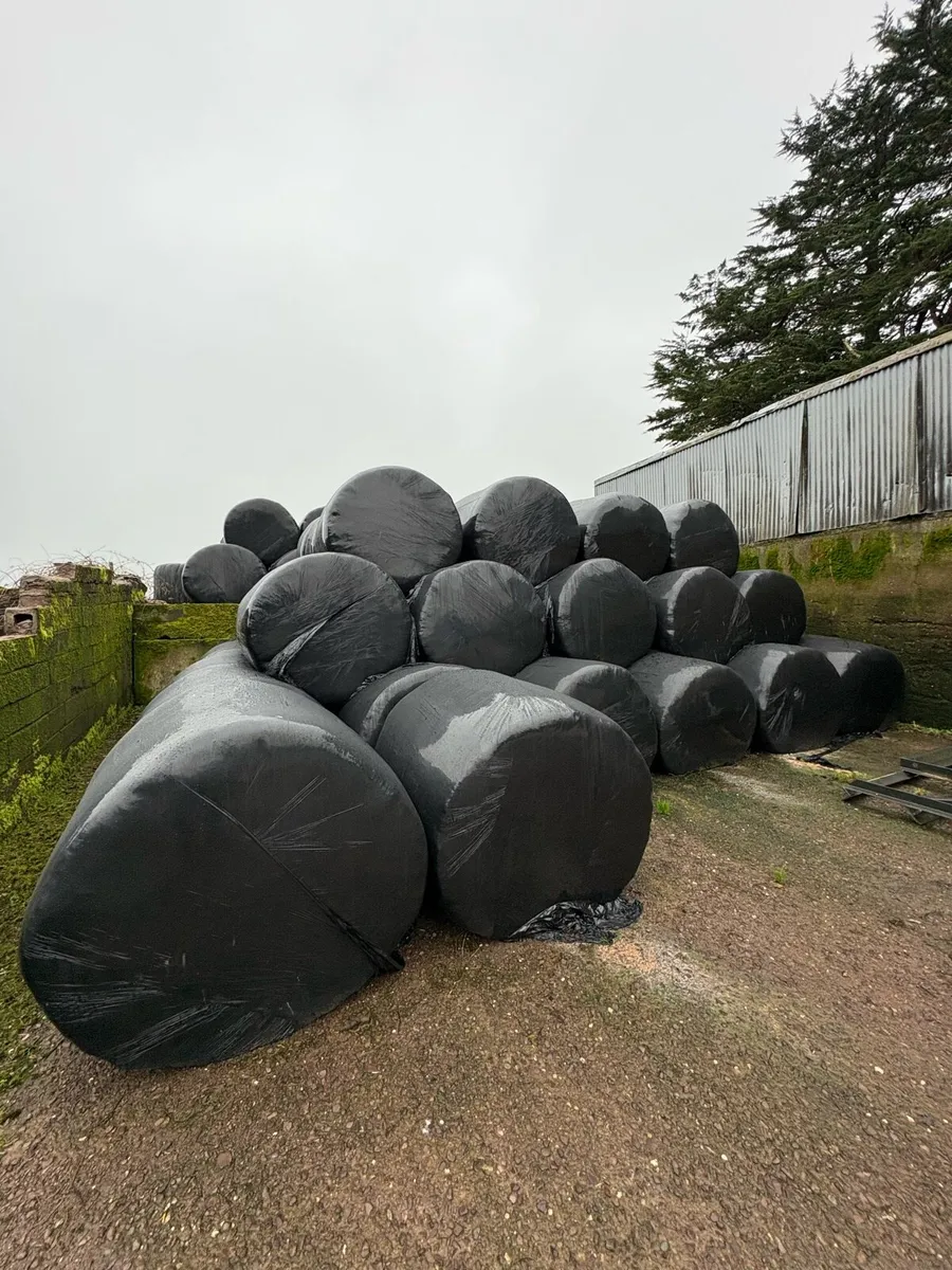 2025 Silage Bales - Image 1