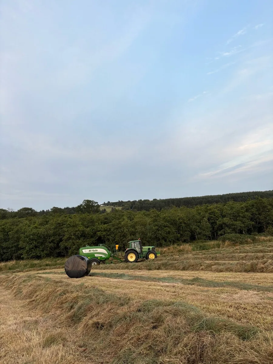 2025 Silage Bales - Image 3
