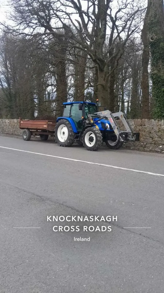 Mushroom compost - Image 3