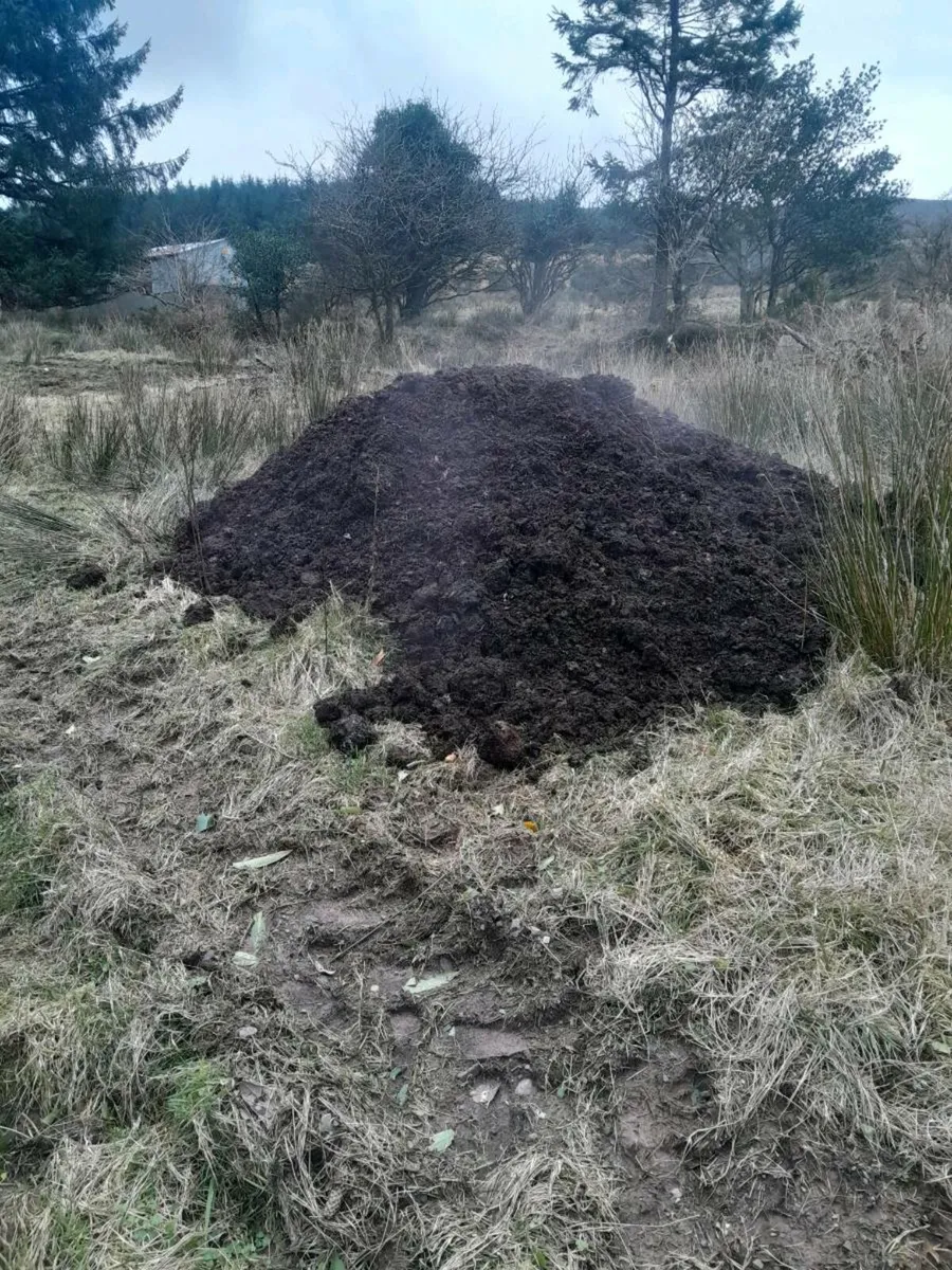 Mushroom compost - Image 4