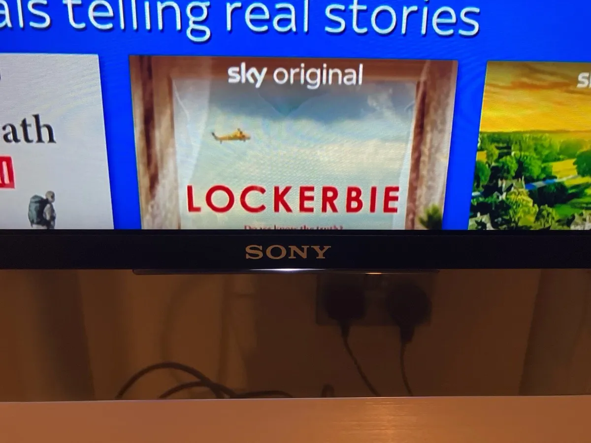 Sony Bravia 43” TV - Image 2