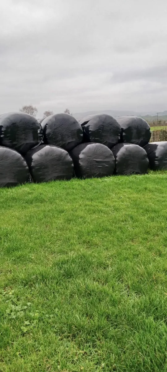 baled silage - Image 1