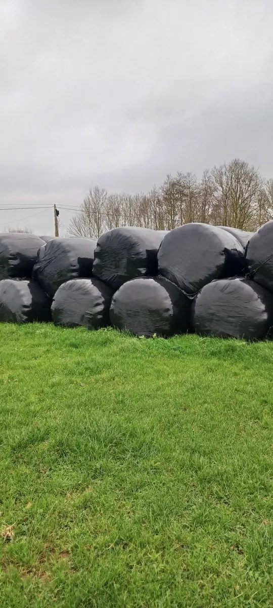 baled silage - Image 2