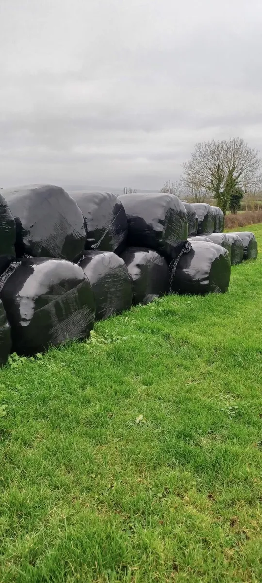 baled silage - Image 3