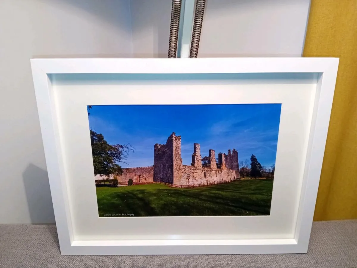 Castlemartyr Castle and Gardens - Image 1