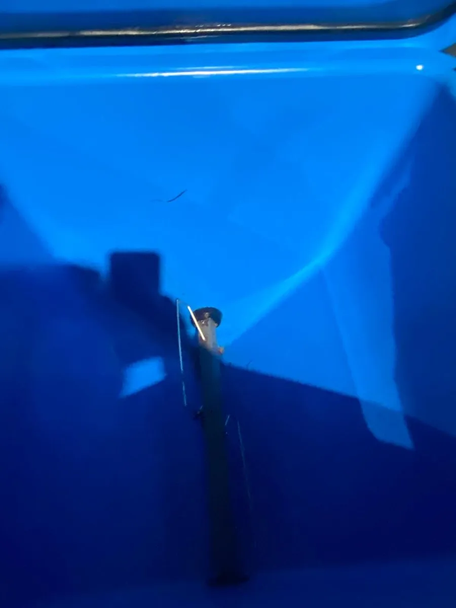 H&L automatic calf feeder - Image 3