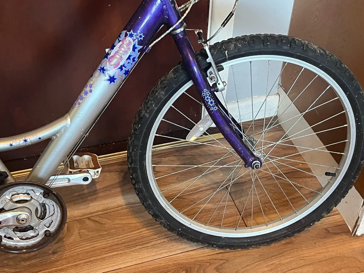 Child’s Raleigh - Image 3