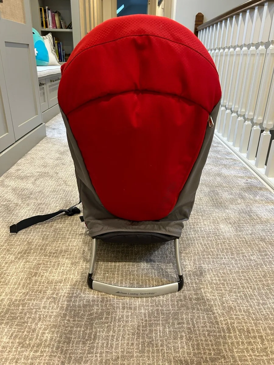 Phil & Teds backpack carrier - Image 1