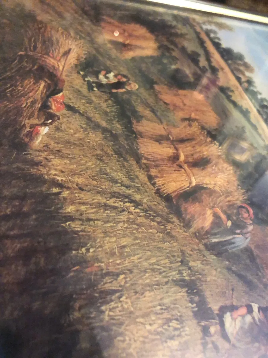 Quality Print - Image 4