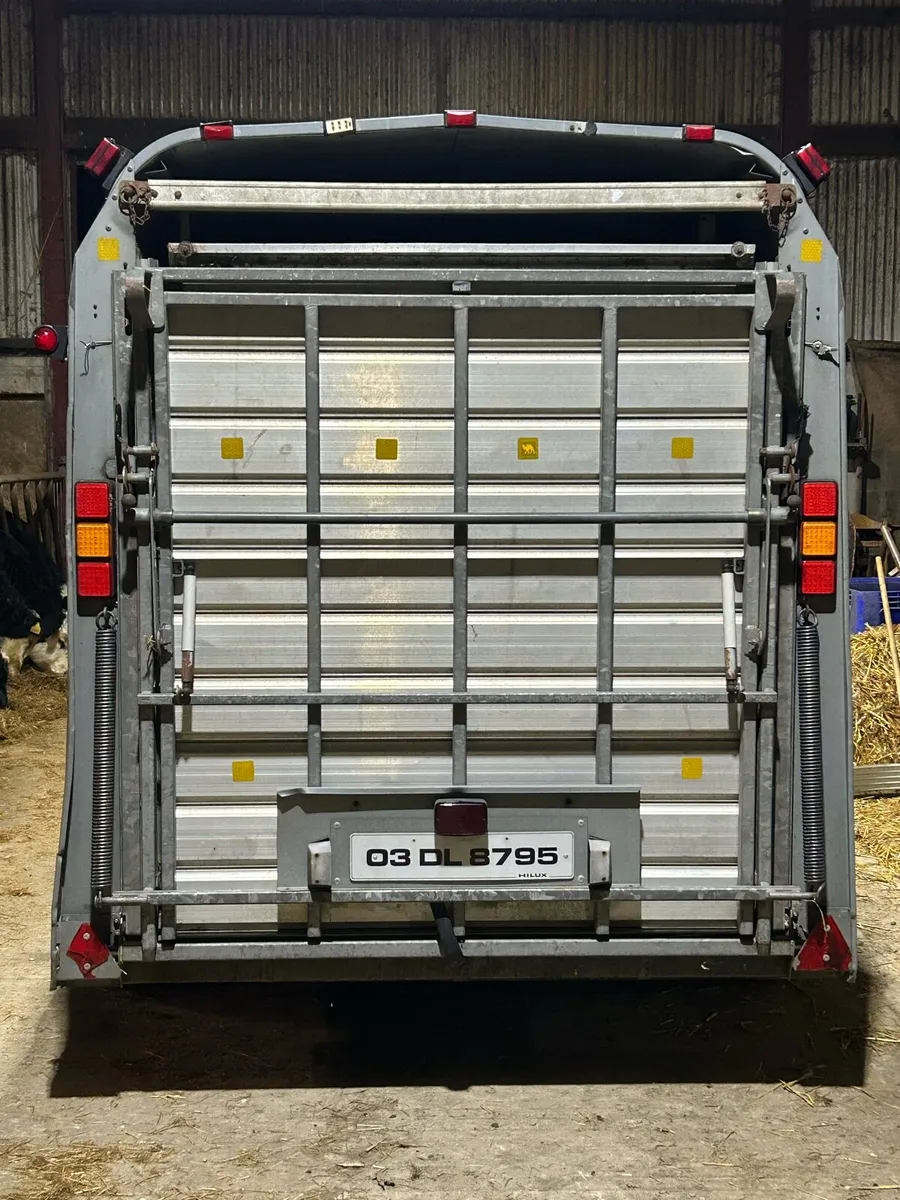 12x5 cattle trailer with decks - Image 3