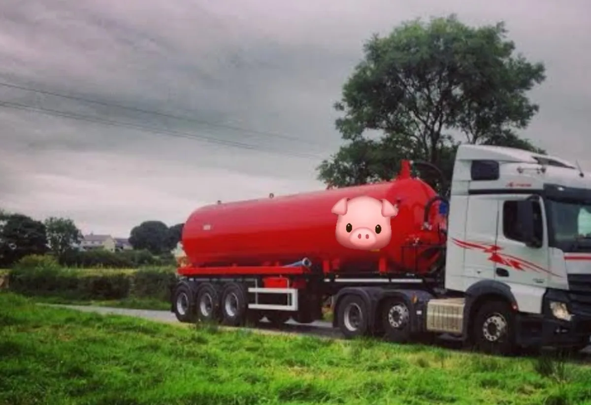 Pig slurry - Image 1