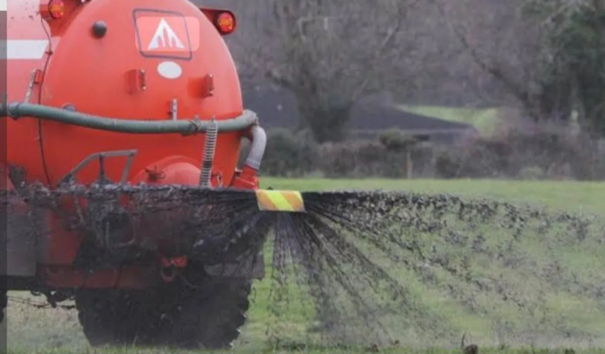 Pig slurry - Image 2