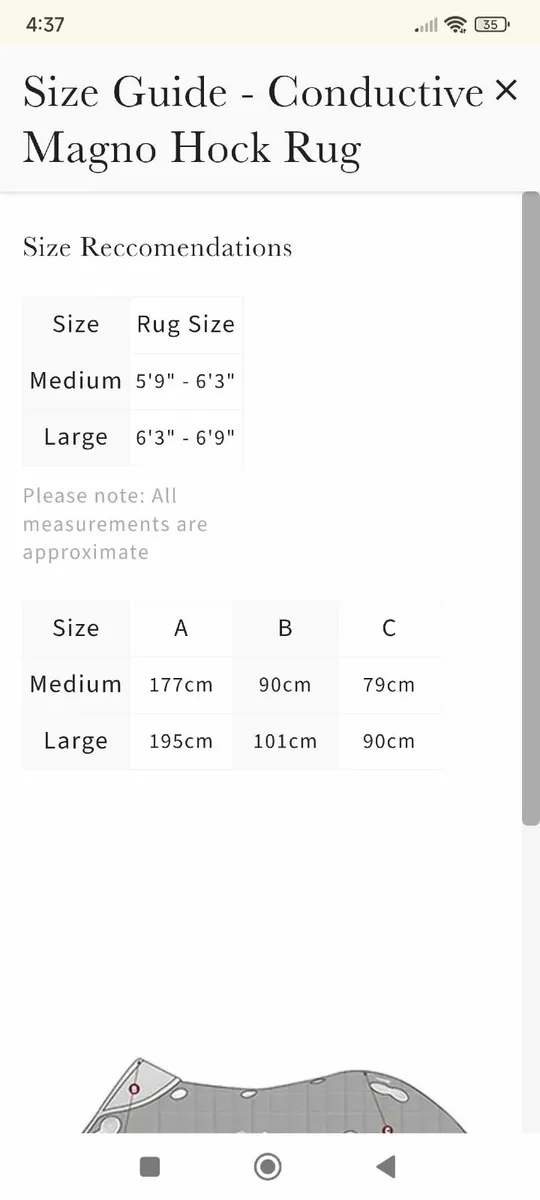 Le mieux magnetic horse rug - Image 2