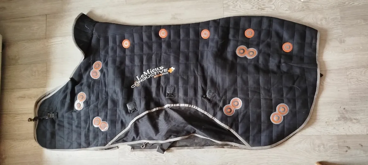 Le mieux magnetic horse rug - Image 1