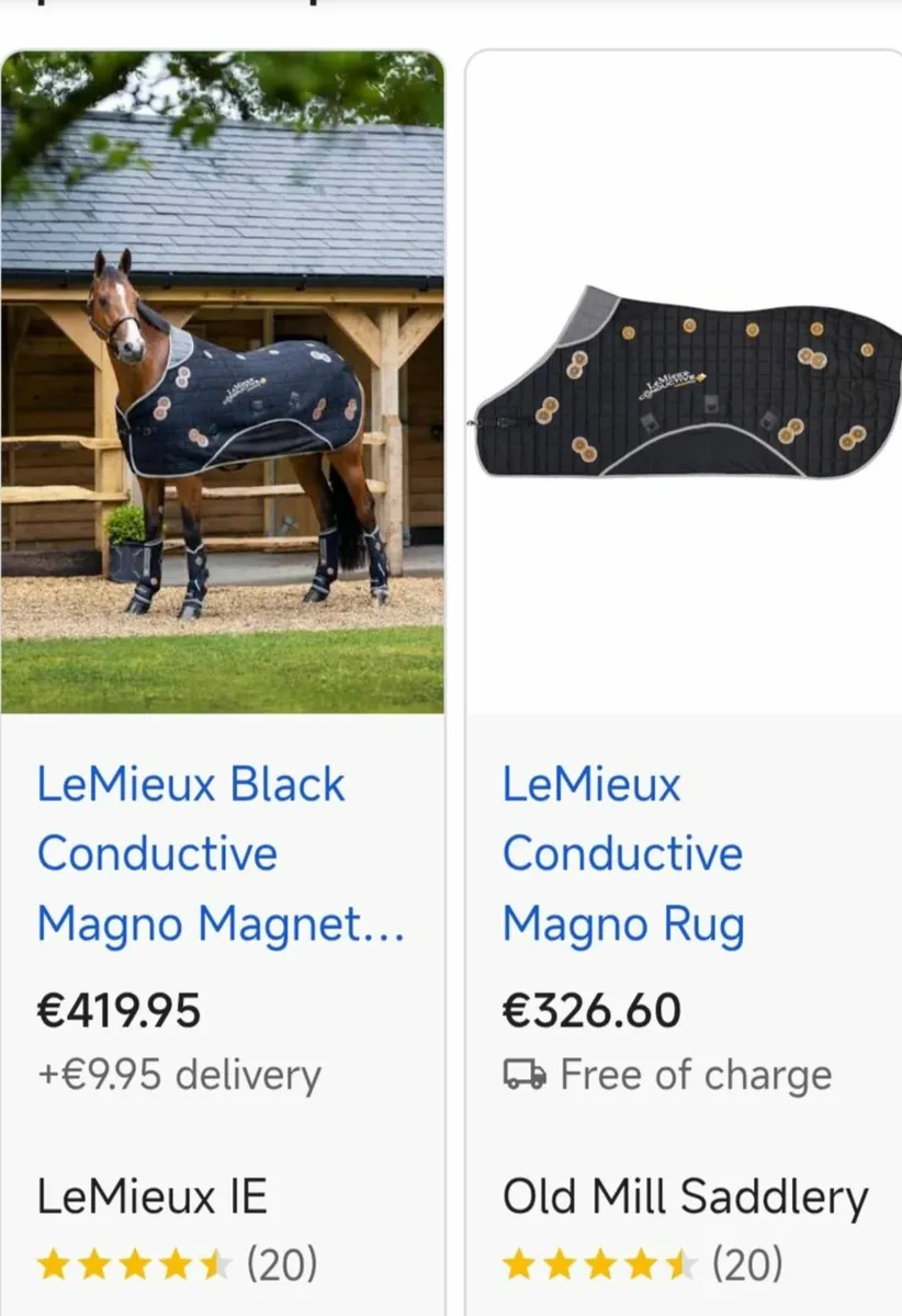 Le mieux magnetic horse rug - Image 3