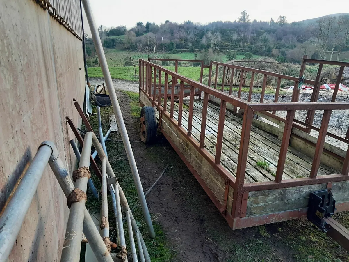 Cattle or Sheep Feed Trailer - Image 3
