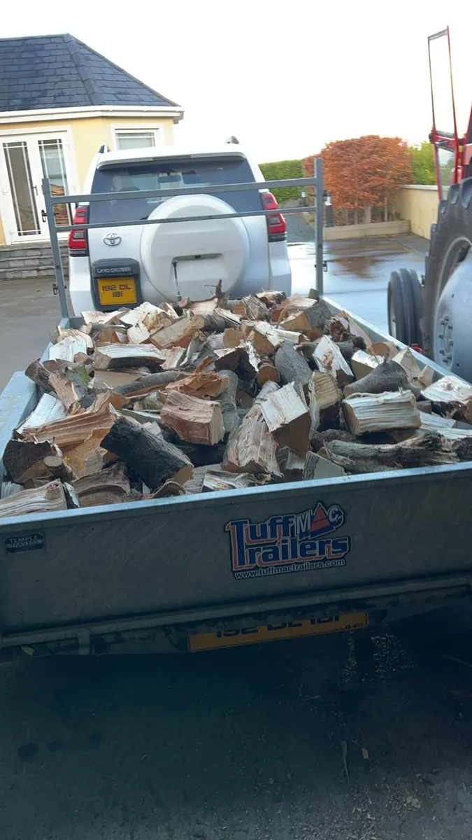 8x5 trailer load hardwood firewood - Image 1