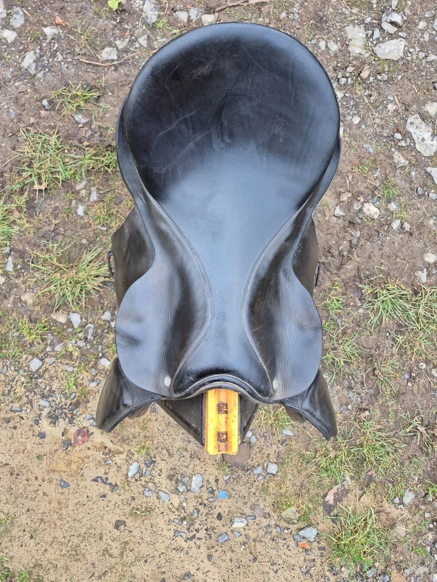 Saddle - Image 4