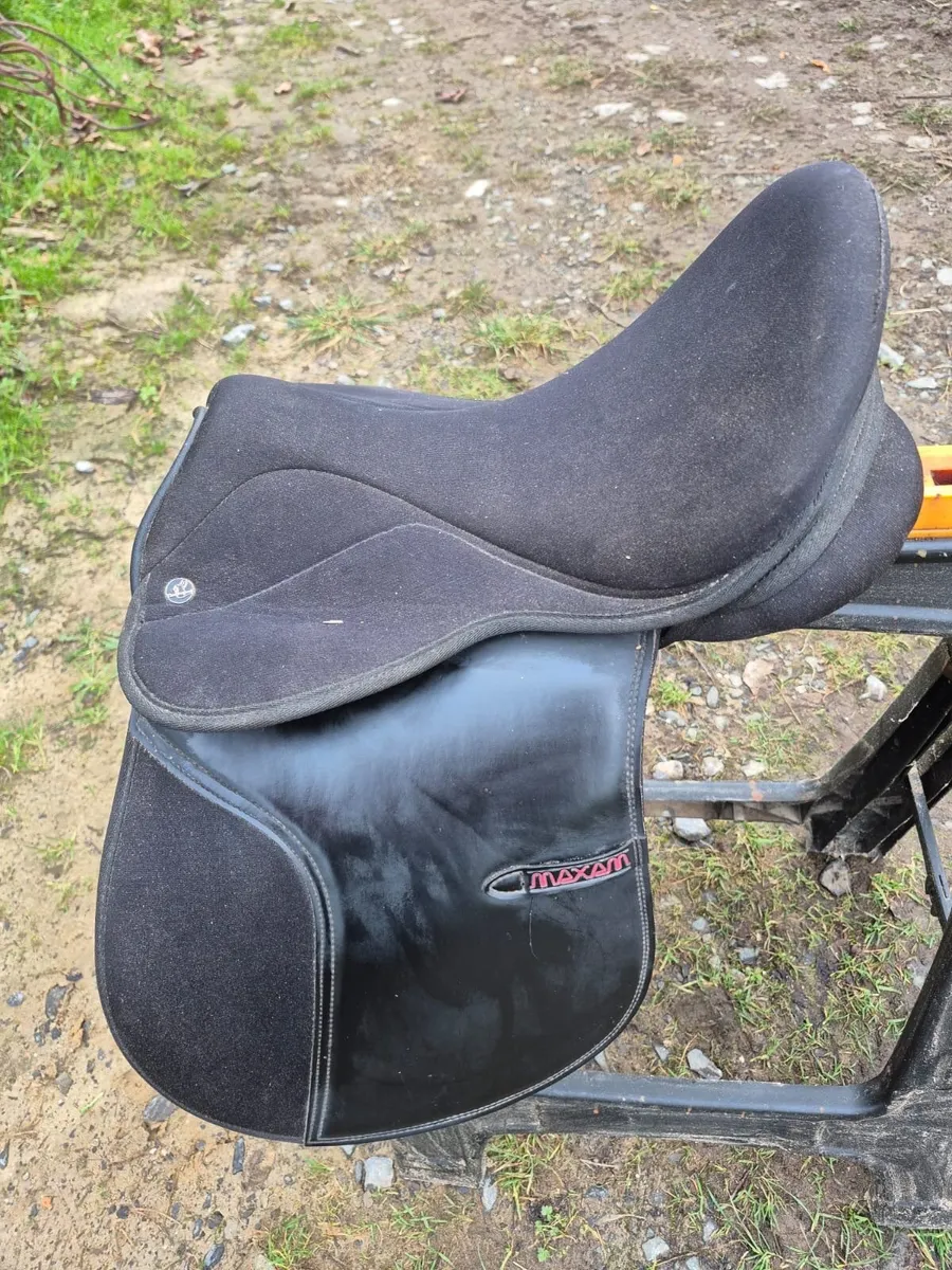 Saddle - Image 2