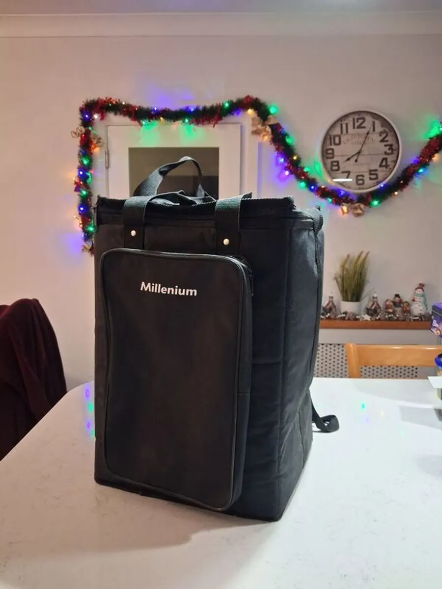 Cajon and case - Image 4