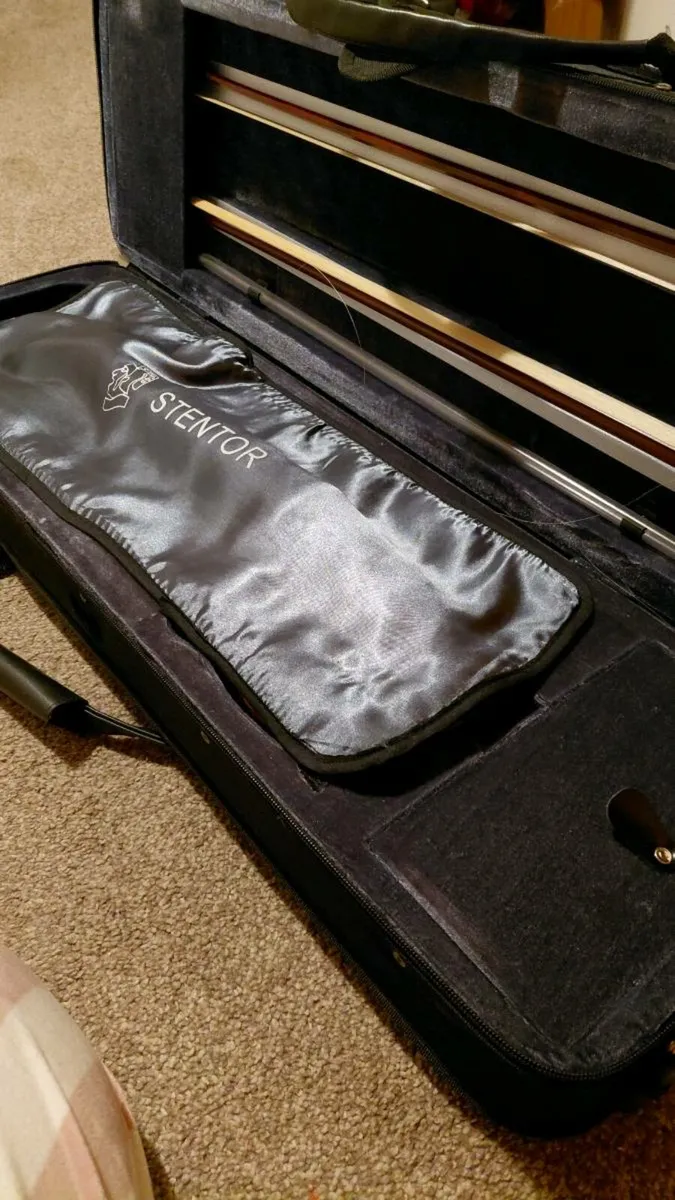 Violin full size - Image 2