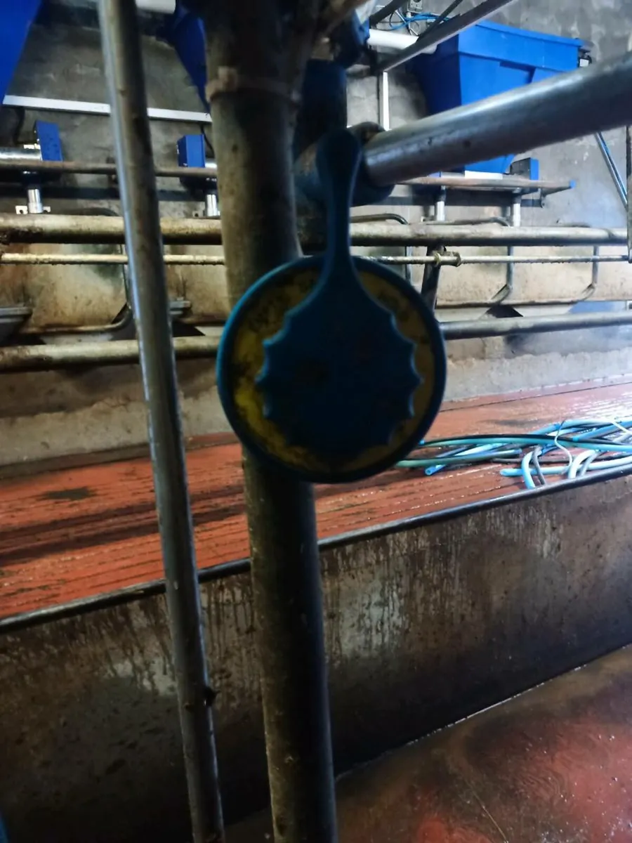 10 dairymaster acrs and jars - Image 1