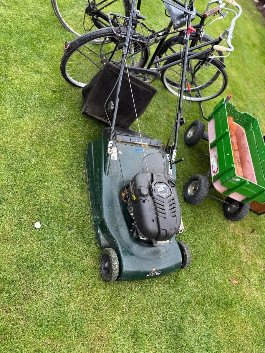 Hayter petrol roller lawn mower - Image 2