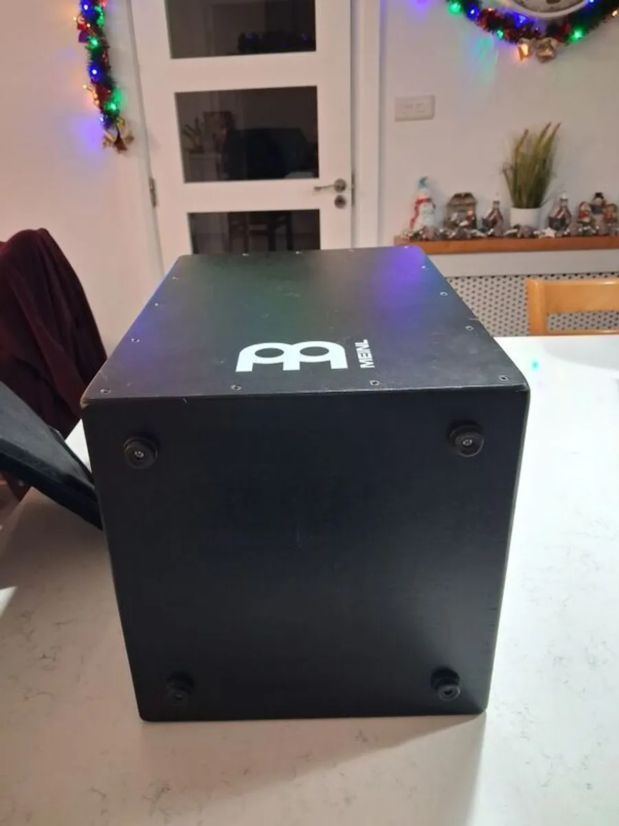 Cajon and case - Image 3