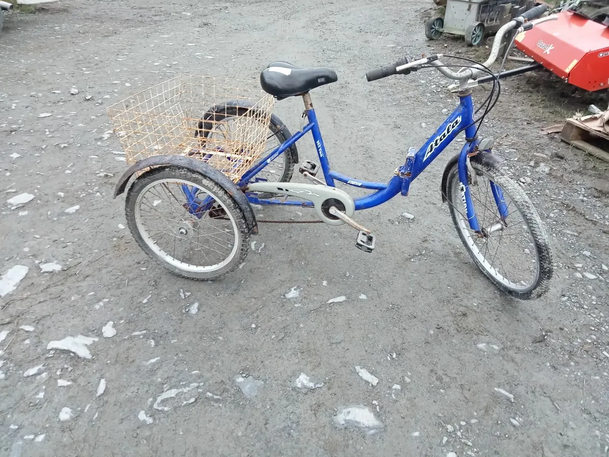 Tricycle - Image 1