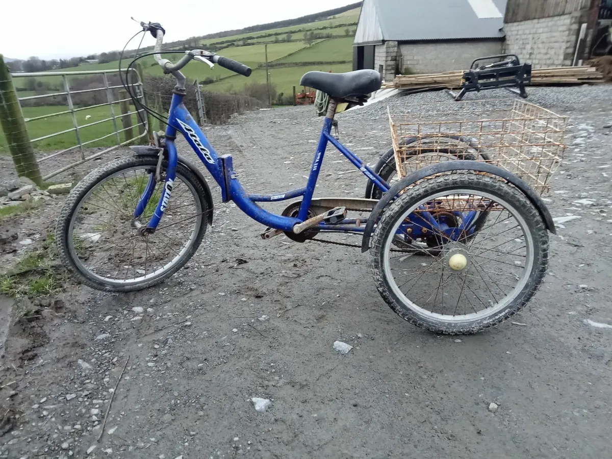 Tricycle - Image 2