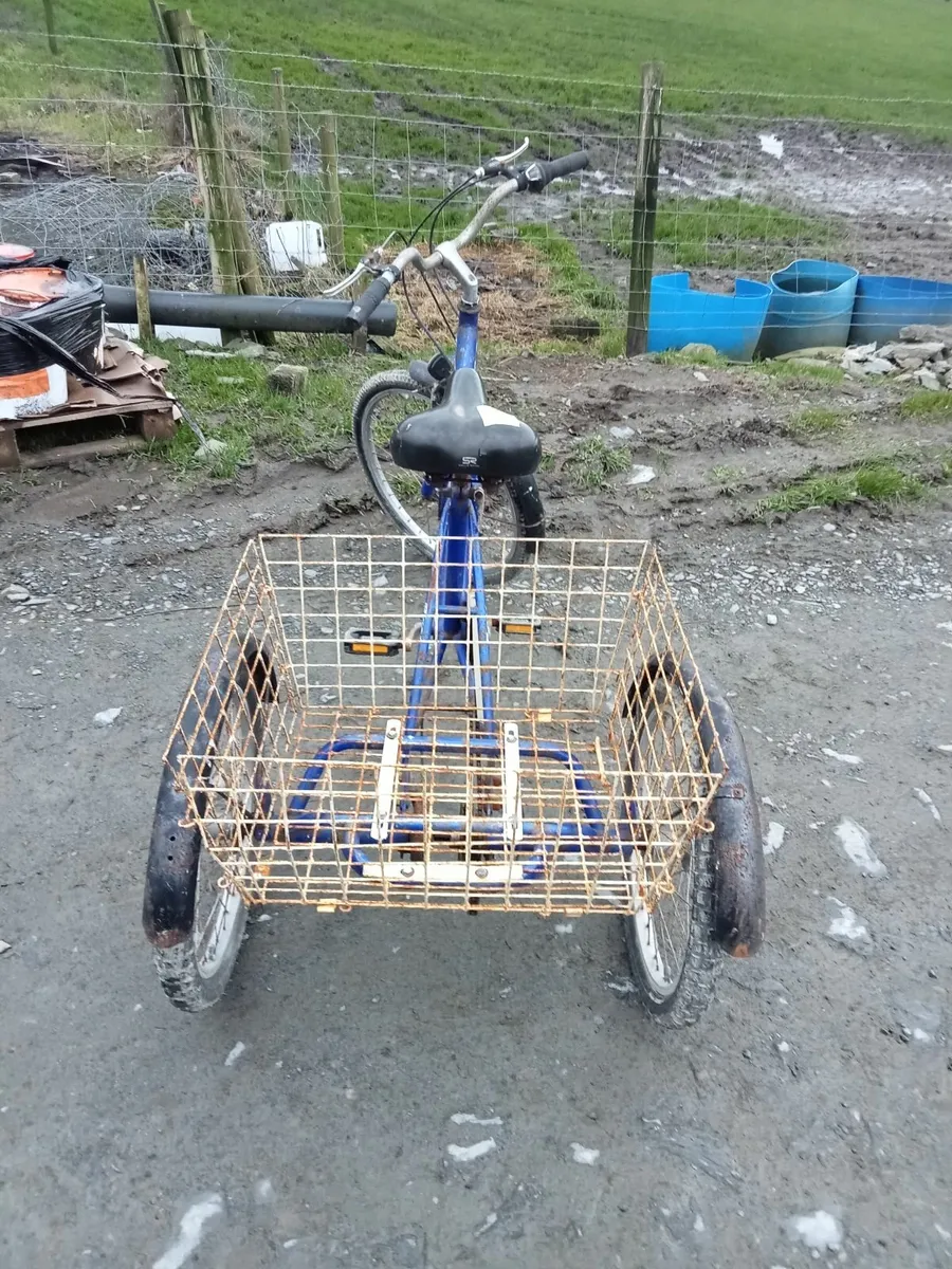 Tricycle - Image 4