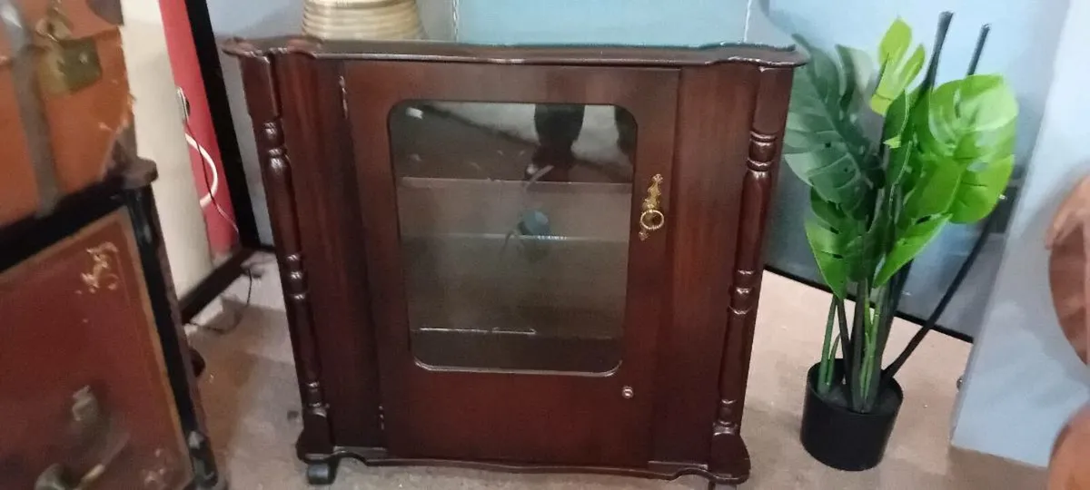 Modern Mahogany Media Cupboard - Image 1